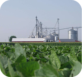 Agriculture